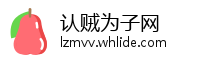 认贼为子网